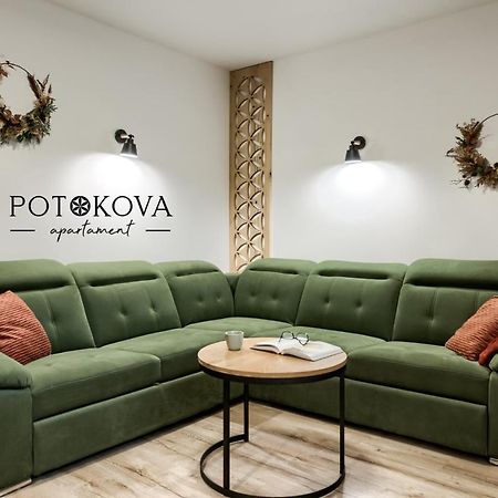 Potokova Apartament Centrum Zakopane Exterior photo