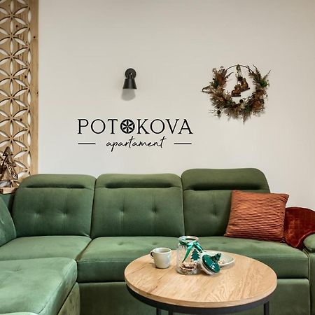 Potokova Apartament Centrum Zakopane Exterior photo