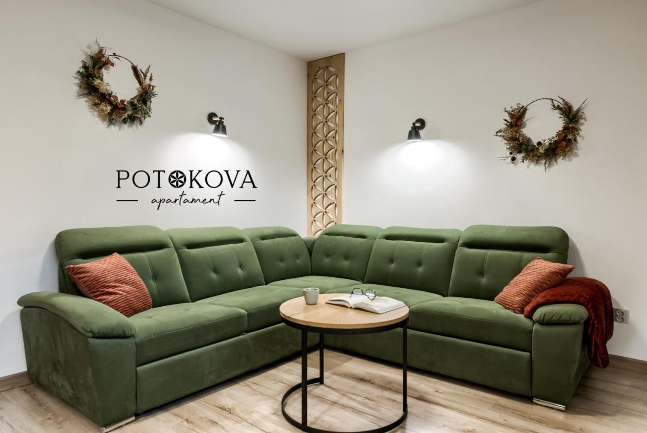 Potokova Apartament Centrum Zakopane Exterior photo