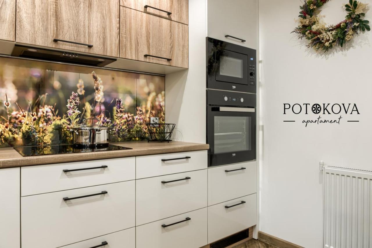 Potokova Apartament Centrum Zakopane Exterior photo
